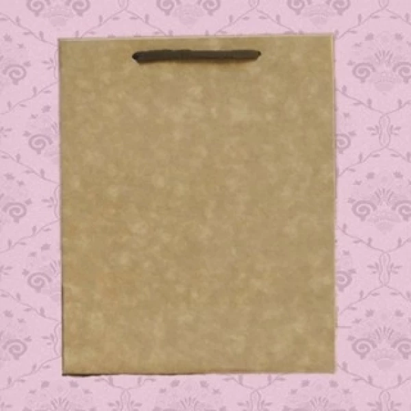 Sacola MS27 em papel Lisa Kraft 300GR - 22x17x27 cm- Pacotes com 10 unidades