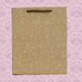 Sacola MS27 em papel Lisa Kraft 300GR - 22x17x27 cm- Pacotes com 10 unidades